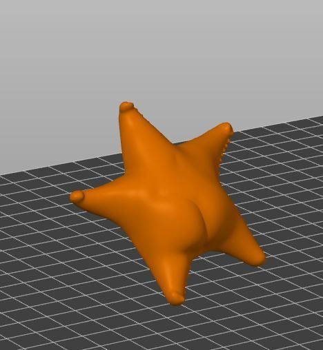 estrella de mar culona 3D model
