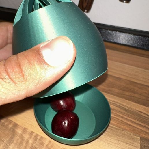 c4d1c234-28e6-47ed-a522-4d913e22740b.jpg Fruit fly trap egg