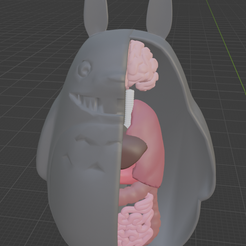 totorito.png Fichier STL Anatomie de Totoro・Objet imprimable en 3D à télécharger