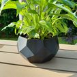 Flowerpot.jpeg Pot de fleurs Low Poly