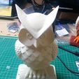 IMG_20180403_154238.jpg Owl LED Lamp
