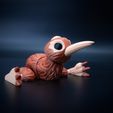 Image_03.jpg Flexi Kiwi Bird