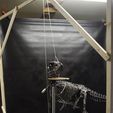 DSC_0183_1500px.jpg Файл OBJ Life size baby T-rex skeleton - Part 03/10・3D модель для печати скачать