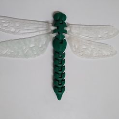 IMG_20201117_193403582.jpg Free STL file Dragonfly・3D printable model to download