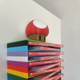 IMG20240102112253.jpg Nintendo Switch Game Holder