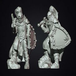 shield.jpg Free STL file Fantasy medieval knight with shield・Model to download and 3D print