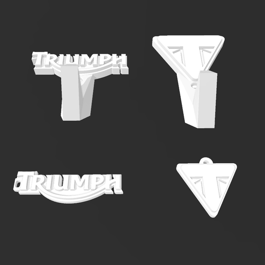 Captura-de-pantalla-2025-03-30-215745.png Pack of Triumph hooks and keychains