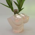 0086.png Boob Flower Pot Planter Box