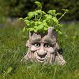 Waldther4.jpg Free STL file Cartoon Style Tree Face Planter・3D print design to download, creaturesandtheming