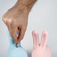 IMG_3705.jpg Troy Rabbit Knitted 🐰✨ (Container + Piggy Bank Version), Easter Design