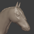 HorseFaceMatcap2.png Fichier 3D Cheval andalou・Modèle à imprimer en 3D à télécharger