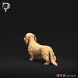 Dachshund-Miniature-Long-Haired-Pose-01-Dog-3D-Print-6s.jpeg Dachshund Miniature Long Haired Pose 01
