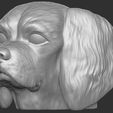 11.jpg Spaniel Cavalier dog head for 3D printing