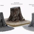 single_tree_stump_turntable_tree_fix_3.jpg 3D Scanned Tree Stump for Tabletop Scatter Terrain