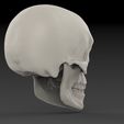 untitled.167.jpg Classic Skull