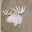 low-poly-head-elk.png moose elk head wall mount low poly geometrical stl 3d print