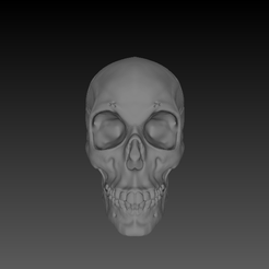 snapshot00.png STL file Vulcan Skull・Model to download and 3D print