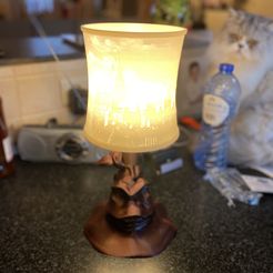 IMG_6416.jpg Archivo STL Pied de lampe Harry Potter・Diseño para descargar y imprimir en 3D