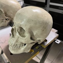 IMG_3129.jpg STL-Datei Human Skull - Medical Scan | Menschlicher Schädel - Medizinischer Scan kostenlos・Design für 3D-Drucker zum herunterladen