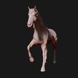 05.jpg American Quarter Horse model 3D print model