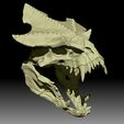 CarnoRex A03.jpg Carnotaurus Rex - Skull