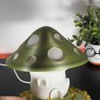 IMG_1806.jpg The Magic Mushroom Lamp!