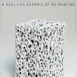 10.jpg Bone Sponge Printable