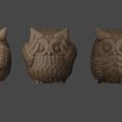 01.jpg Owls