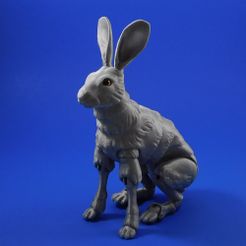 hare_square_1.jpg Archivo STL gratis The Fabled Hare (Una muñeca de articulación de bolas impresa en 3D)・Plan imprimible en 3D para descargar