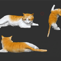 Screenshot_7.png Cat pose 1 / Gato pose 1