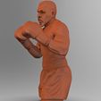 untitled.133.jpg Тяжеловес IRON MIKE TYSON -3D модель