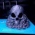 IMG_20171006_000043.jpg STL file Skull on Rocks・3D print design to download
