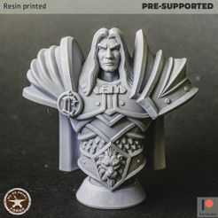 BUST-Pala1.jpg 3D file Paladin Bust・3D printer model to download