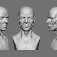 ZBrush Document.jpg Stylized Anatomy Face 3D print model