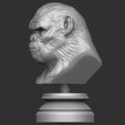 7.JPG OBJ file Koba Monkey・3D print model to download, Bstar3Dart