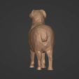 R12.jpg LowPoly Sheep Figurine