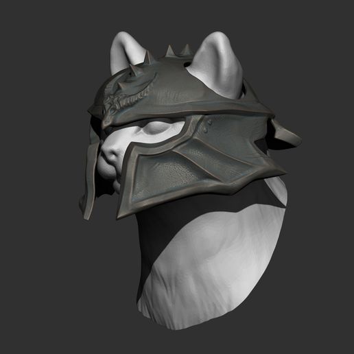 ZGrab02.jpg Dragon Age Helmet Cat