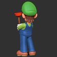 Back.jpg Luigi - The Super Mario Bros