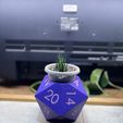 IMG_4352.jpg D20 Flower Pot