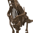 14.png Argentinosaurus : Esqueleto completo