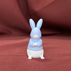 IMG_2667.jpg Файл 3D КРОЛИК В КАПЮШОНЕ 2・Дизайн 3D принтера для загрузки