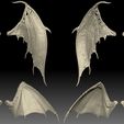 42.1.jpg 2 Paar Flügel 3D-Druckmodell