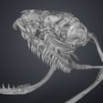 snake-skull-biga-stl-3d-print-3demon.177.jpg Realistic Snake Skull Collection