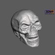 Skull.JPG Skull Sculpture 3D Scan (Including Hollow Version)