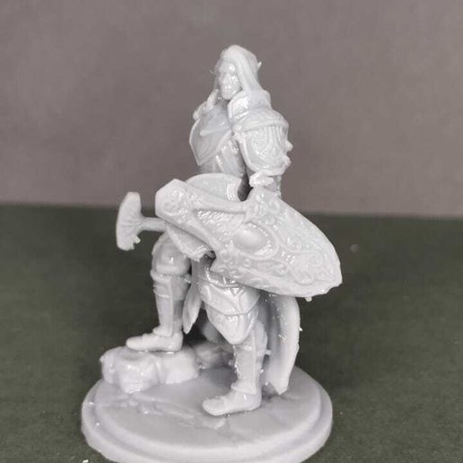 WhatsApp-Image-2024-10-31-at-21.06.06-3.jpeg Elf Cleric - Classes by Races