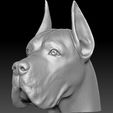 12.jpg Great Dane head for 3D printing