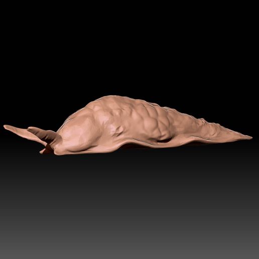 3.jpg Rotten Slug - Dark Souls 3