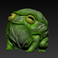 жаб-5.jpg Cabbage Frog