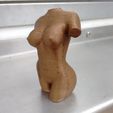 484d6f2b570921acec664e4cec5b1acb_display_large.jpg Free STL file woman torso sculpture, nude・3D print model to download