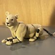 IMG_1202.jpg Lion Poseable Toy